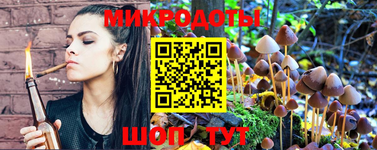 Псилоцибиновые грибы MAGIC MUSHROOMS  Вход с VPN  где продают наркотики  Заволжье  Галлюциногенные грибы Psilocybine cubensis 