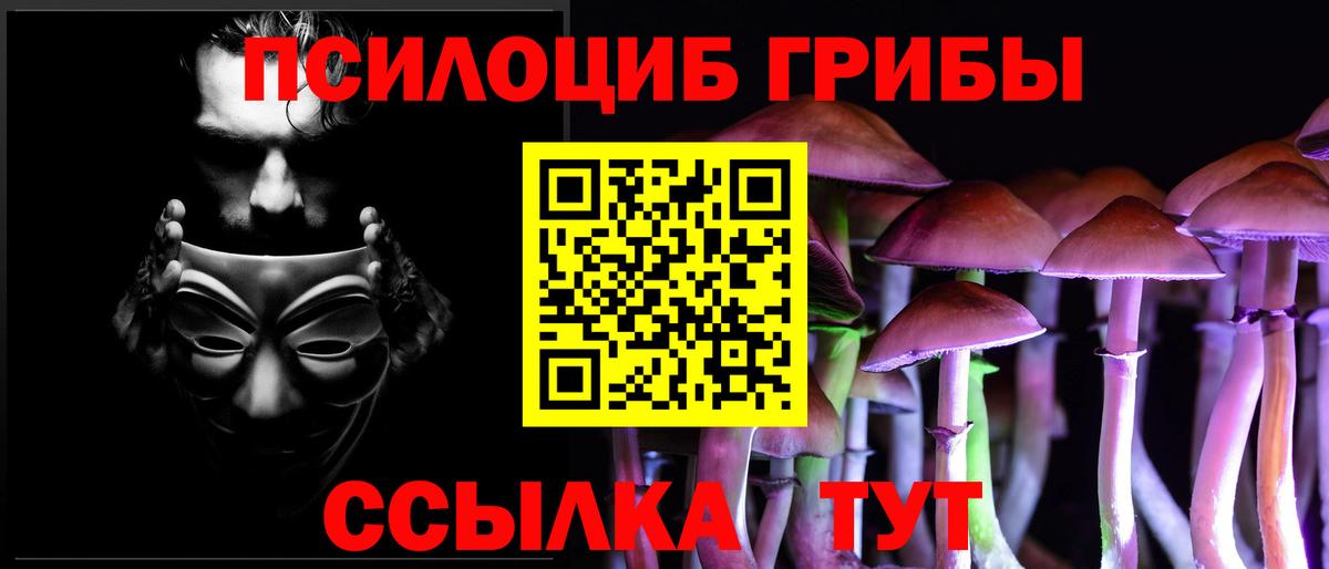 Галлюциногенные грибы прущие грибы Заволжье